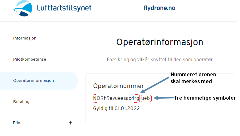 Skjermdump fra flydrone